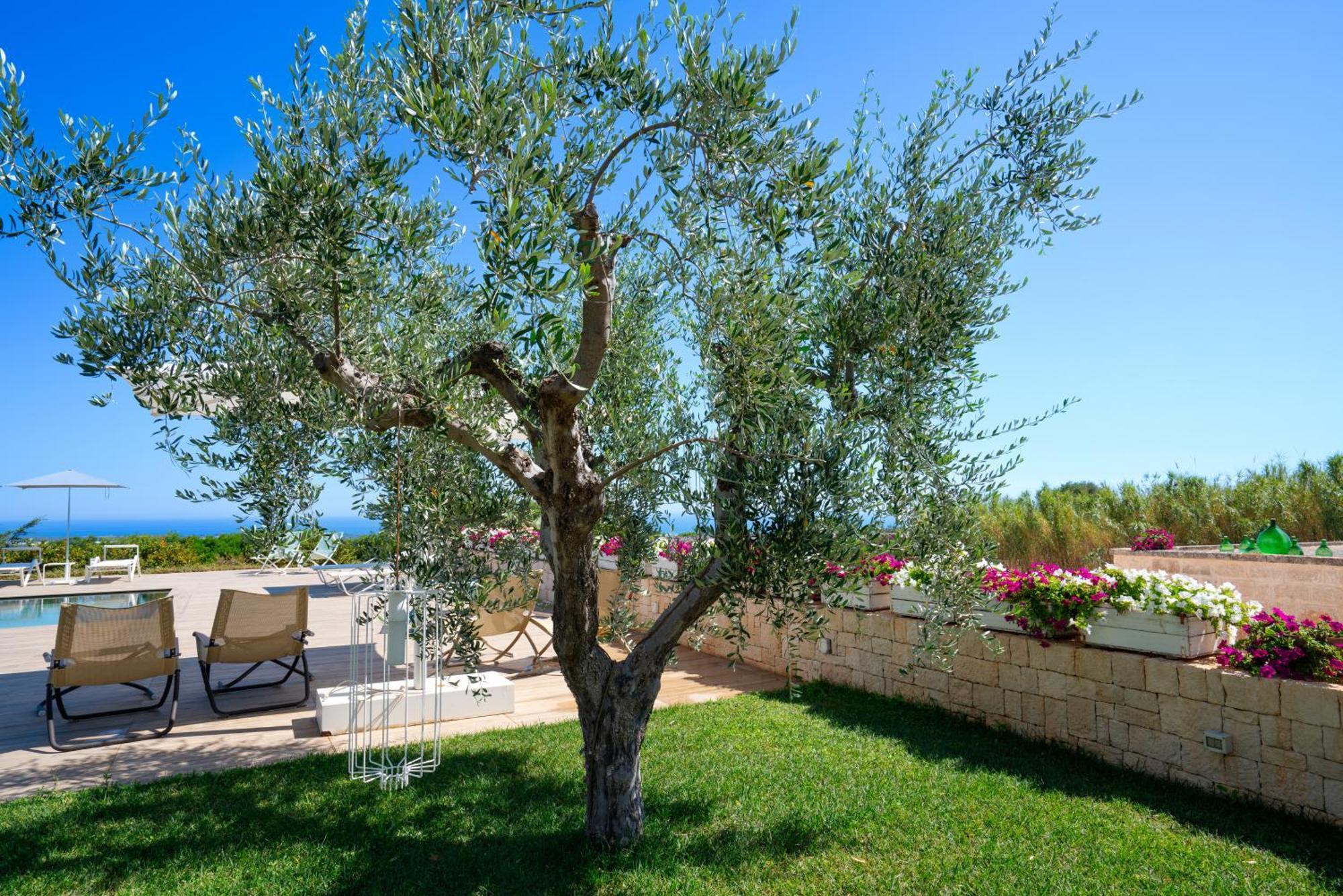 Montegrottone Nature Retreat Polignano a Mare Exteriör bild